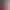 https://shared.akamai.steamstatic.com/store_item_assets/steam/apps/932210/header.jpg?t=1711932827