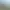 RDS - The Official Drift Videogame.