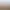 https://shared.akamai.steamstatic.com/store_item_assets/steam/apps/939960/header.jpg?t=1747655450