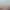 https://shared.akamai.steamstatic.com/store_item_assets/steam/apps/946990/header.jpg?t=1721722826