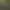Amazing Cultivation Simulator.