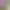 https://shared.akamai.steamstatic.com/store_item_assets/steam/apps/965390/header.jpg?t=1747860489