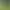 https://shared.akamai.steamstatic.com/store_item_assets/steam/apps/966670/header.jpg?t=1733852616