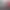 https://shared.akamai.steamstatic.com/store_item_assets/steam/apps/969970/header.jpg?t=1685171826