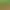 STORY OF SEASONS: Friends of Mineral Town.