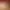 https://shared.akamai.steamstatic.com/store_item_assets/steam/apps/995160/header.jpg?t=1722340249