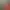 https://shared.akamai.steamstatic.com/store_item_assets/steam/apps/996580/header.jpg?t=1748045178