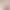 Guess Pictures - Animals.