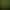 Jungles of Maxtheria.