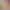 Pillow Simulator.