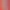 Red List Girls. -Andean Flamingo-.