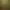 Scientifically Accurate Dinosaur Mating Simulator 2022: American Revolution 1775 - 1786.