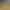 Yard Sale Simulator.