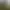 The Adventures of LinShanHai - Chapter5:Three Trees.