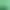 Forebloomed: Evergreen Edition.