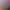 LustVrStudio.