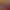 RollerCoaster Tycoon World™.
