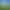 TerraTech.