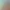 Doodle Hunt: Search Hidden Items.