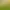 Bloons TD 5.