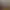 TCG Card Shop Simulator.