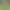 Tiny Duck Hunt 3D.