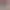 Endlessly side-scrolling Balloon Simulator 2024.