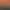 Bird Simulator 24.