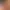 Gabe Newell Simulator.