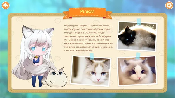 https://shared.akamai.steamstatic.com/store_item_assets/steam/apps/1203420/ss_1b5da9158791db9318fba1757bc4d1fbc935c770.600x338.jpg?t=1737095118