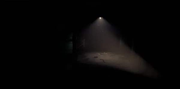 https://shared.akamai.steamstatic.com/store_item_assets/steam/apps/2947800/ss_9348dd473fba1bca8173bf3ba552da00112b28ca.600x338.jpg?t=1721854424