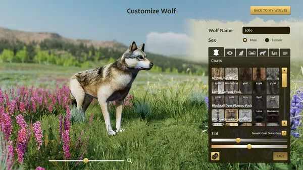 https://shared.akamai.steamstatic.com/store_item_assets/steam/apps/926990/1da8450e2e0d6dcd82671d811ff43ece71d92d18/ss_1da8450e2e0d6dcd82671d811ff43ece71d92d18.600x338.jpg?t=1750961130